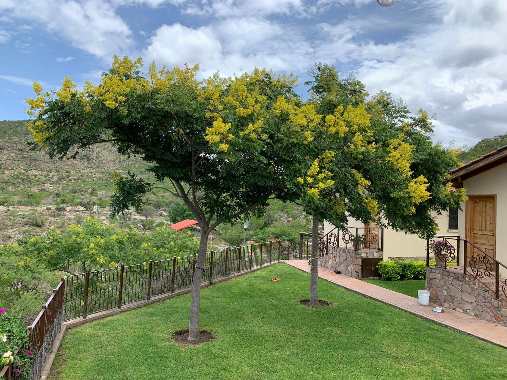 Villa Campestre La Soledad Colon Exterior photo