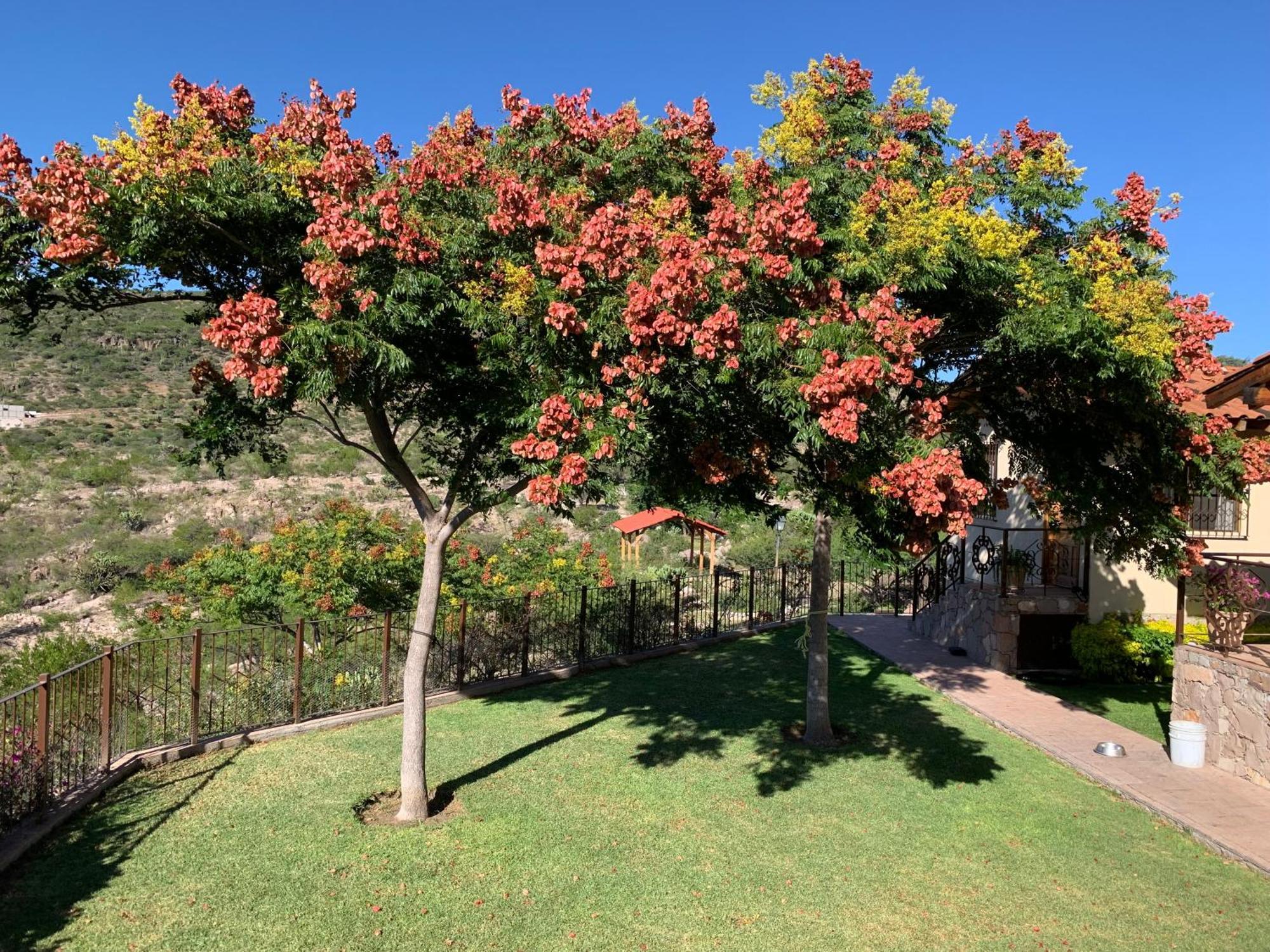 Villa Campestre La Soledad Colon Exterior photo